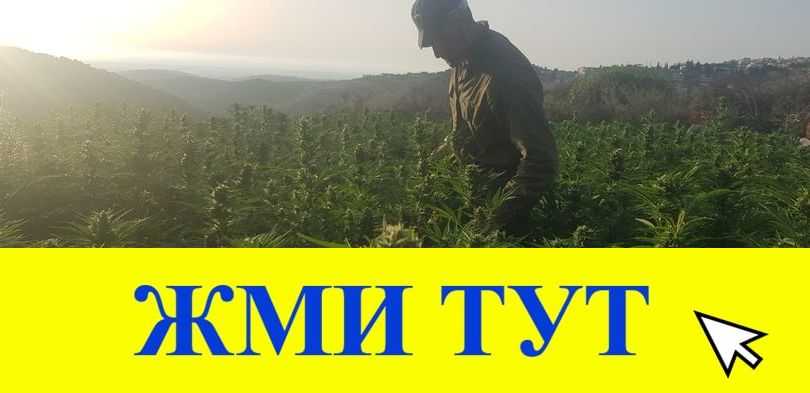 Купить наркотики в Талице